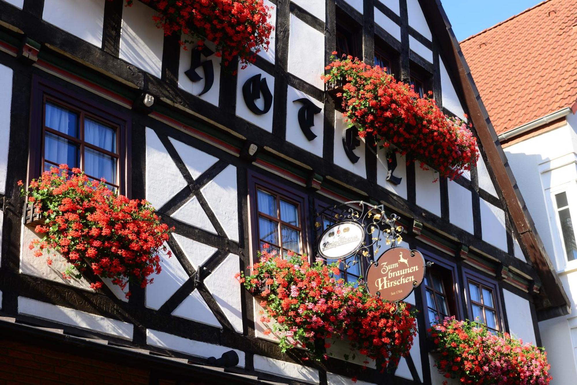 Hotel Zum Braunen Hirschen باد دريبرغ المظهر الخارجي الصورة
